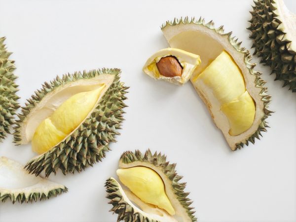 coverdurian